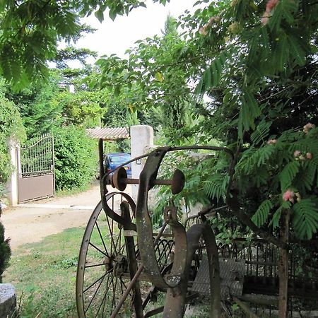 Maison D'Hotes Lou Cliou Cliousclat Εξωτερικό φωτογραφία
